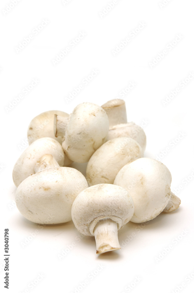 close up of button mushrooms