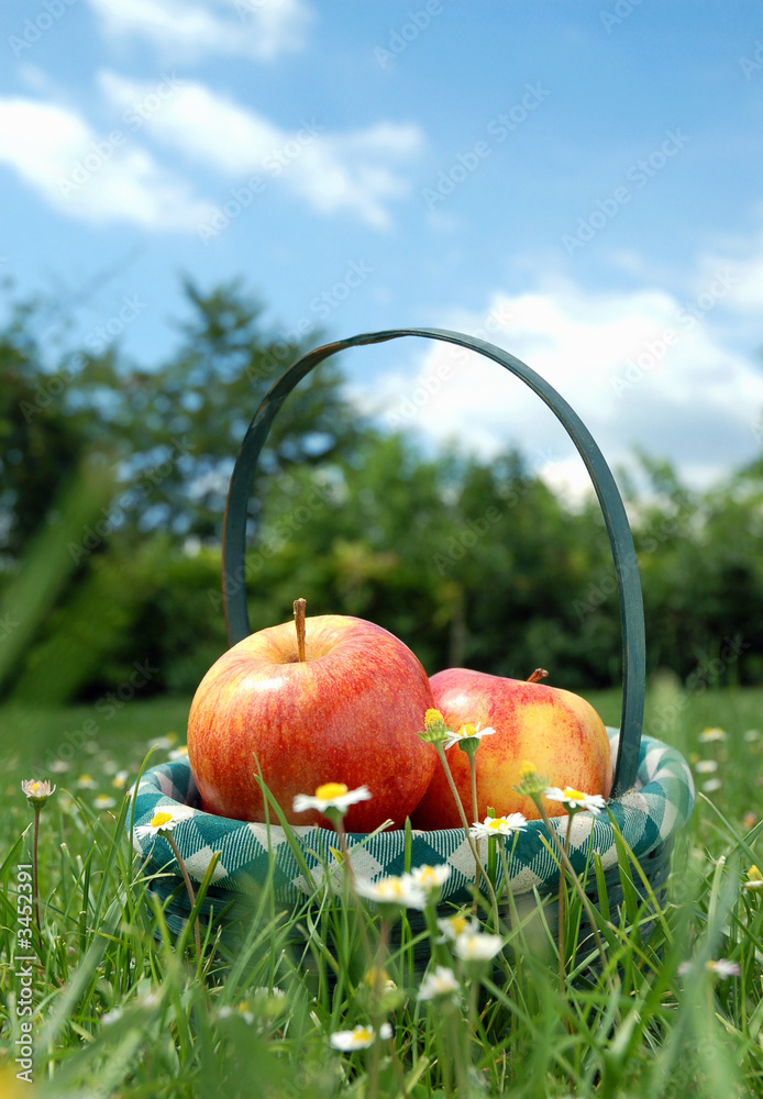 picnic in the park