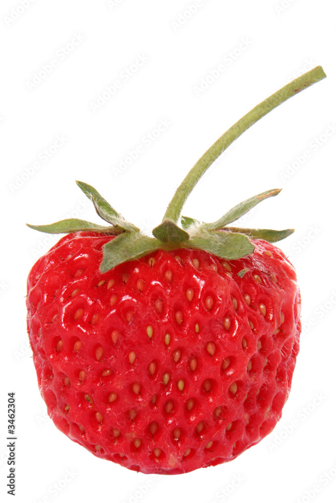 Strawberry isolated on white background detail view