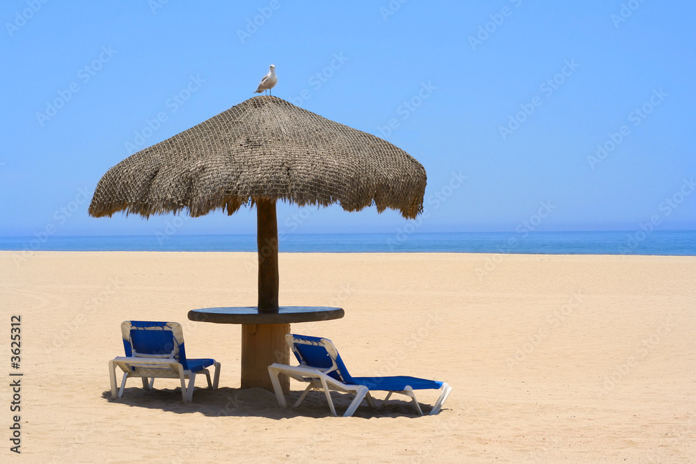 Palapa on a beautiful beach, a seagull sitting on top.