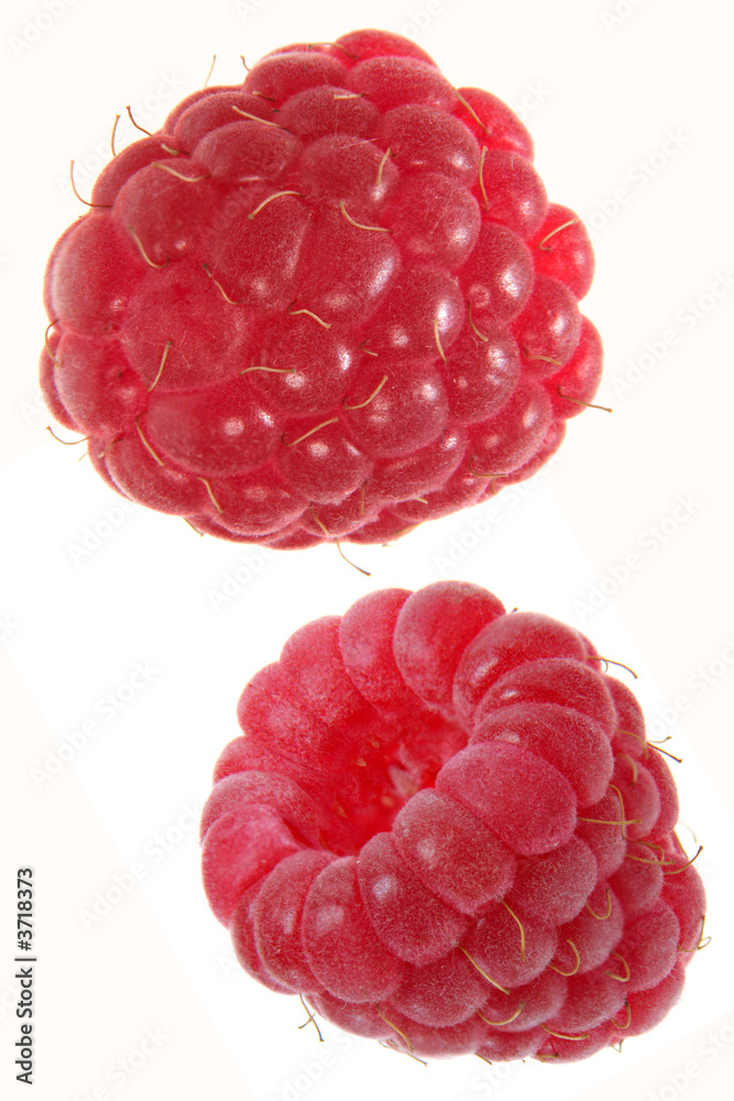 Raspberry fruit detail isolated on white background