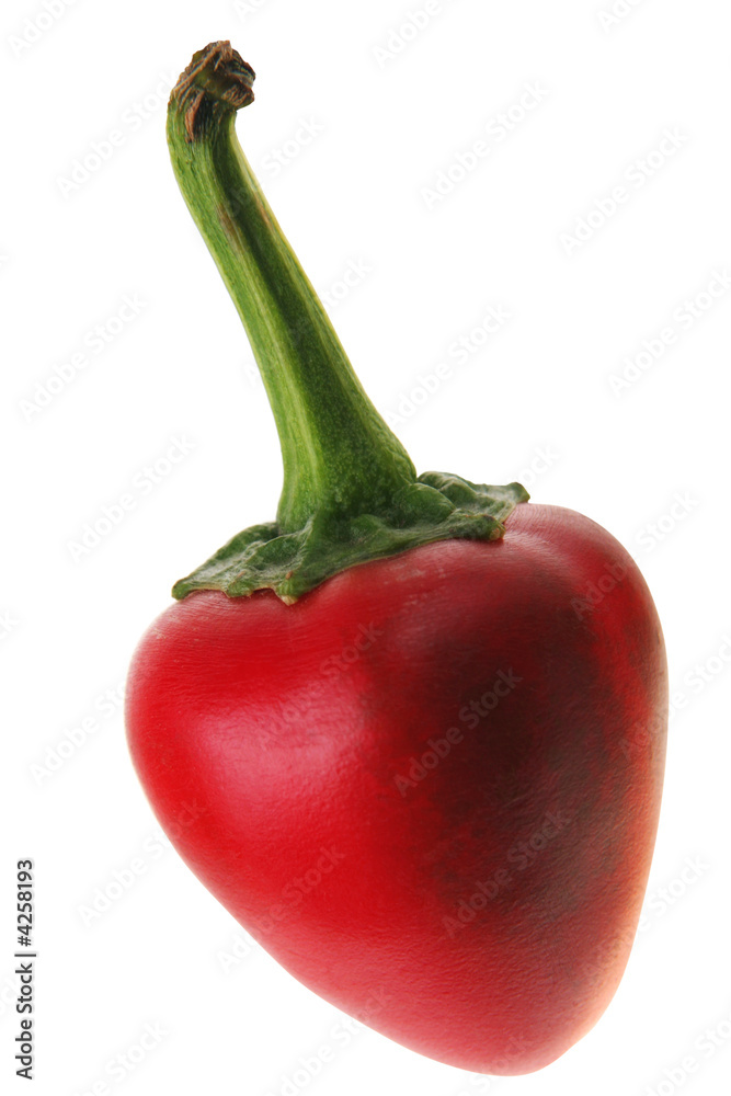 Chili pepper