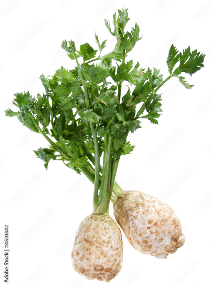 Celery with root