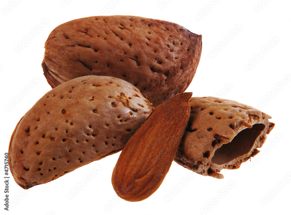 Almond nut