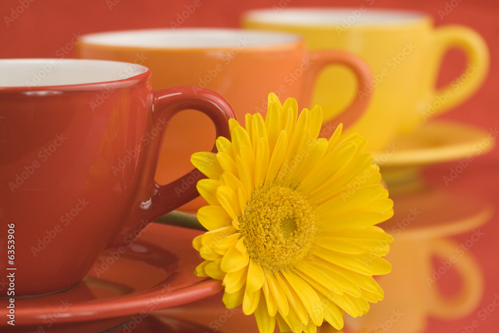 Row of color cups and beautiful yellow gerbera. Selective focus.