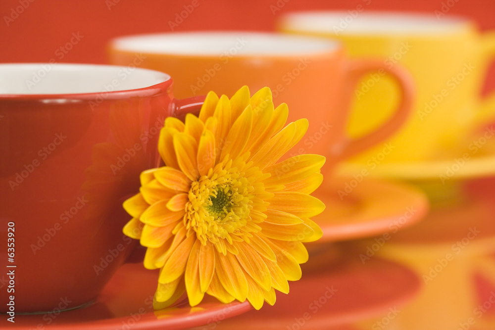 Row of color cups and beautiful yellow gerbera. Selective focus.