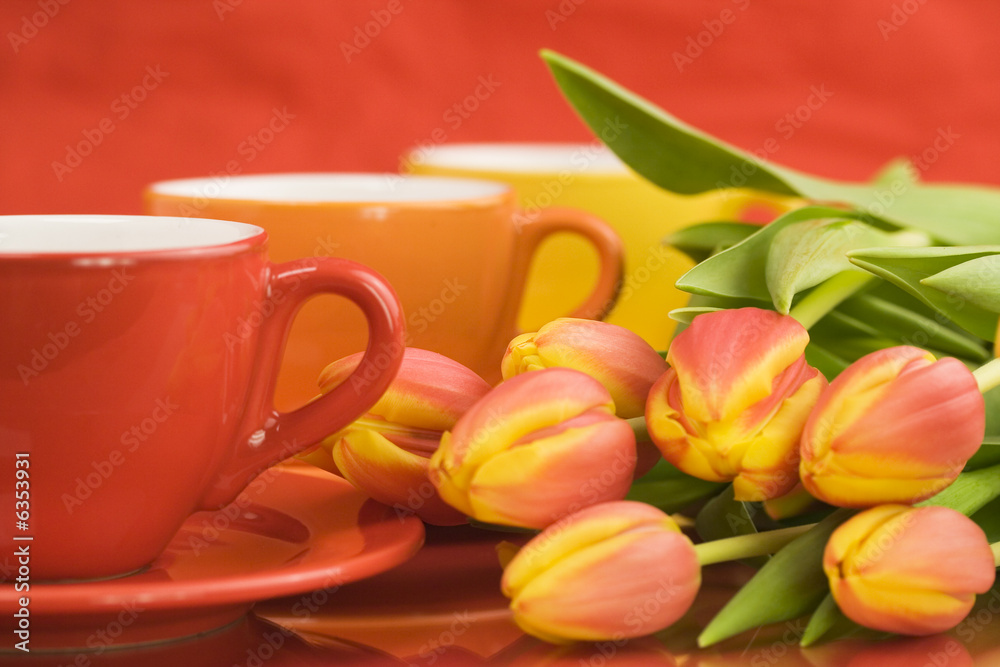 Row of color cups and beautiful fresh tulips. Selective focus.