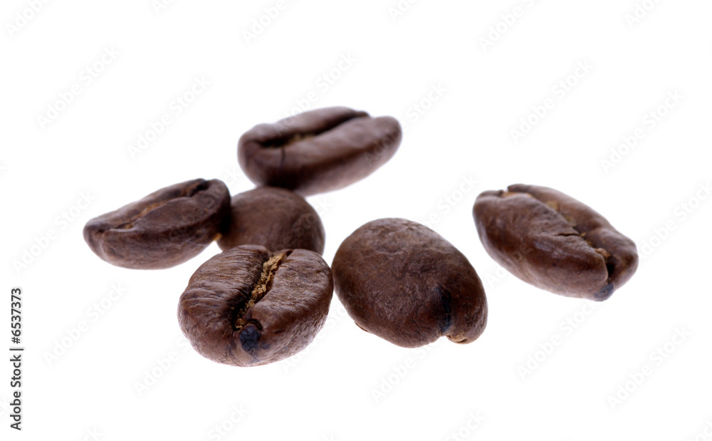  coffee bean isolated