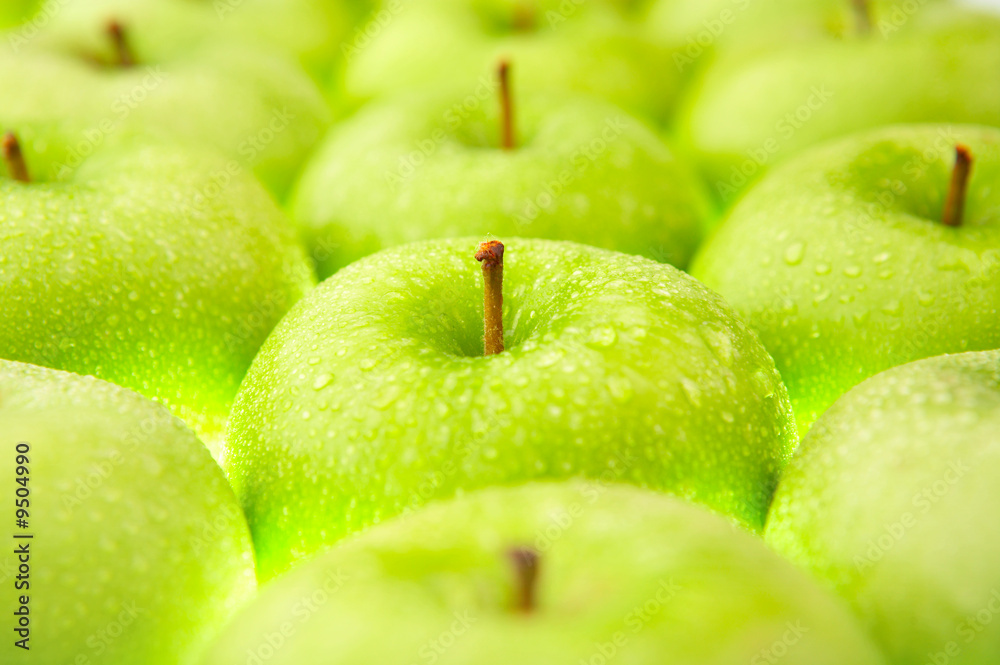 Close up of set of apples in dew