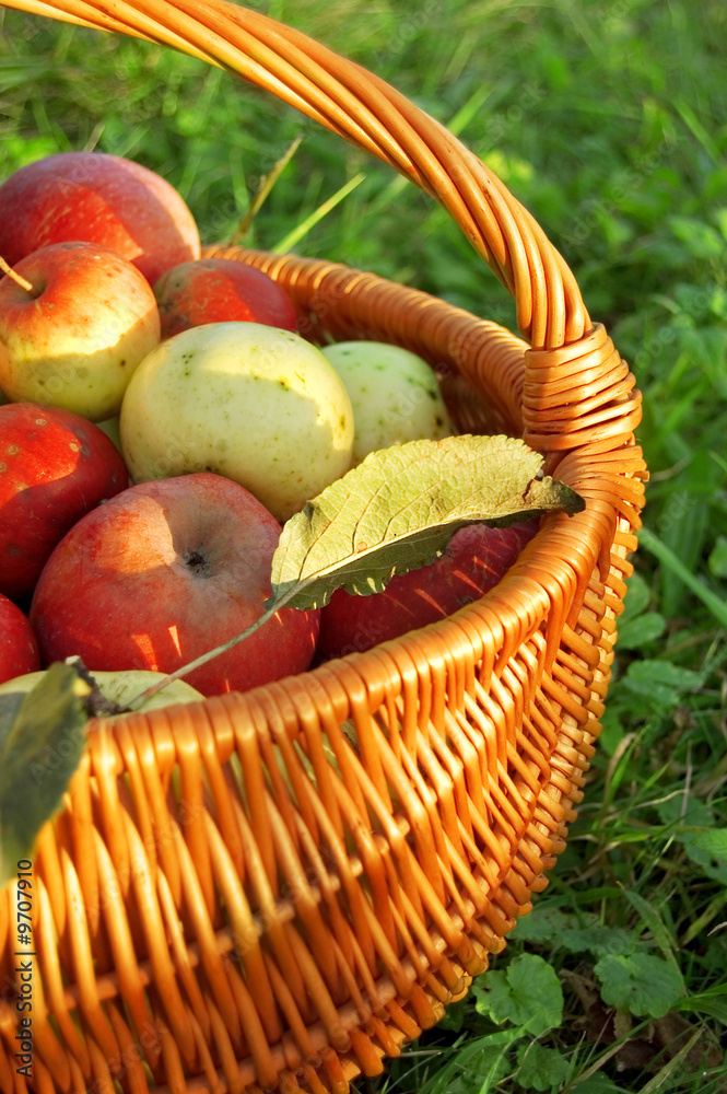 basket with apple close up