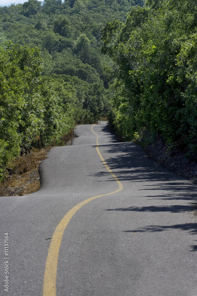 蜿蜒的道路