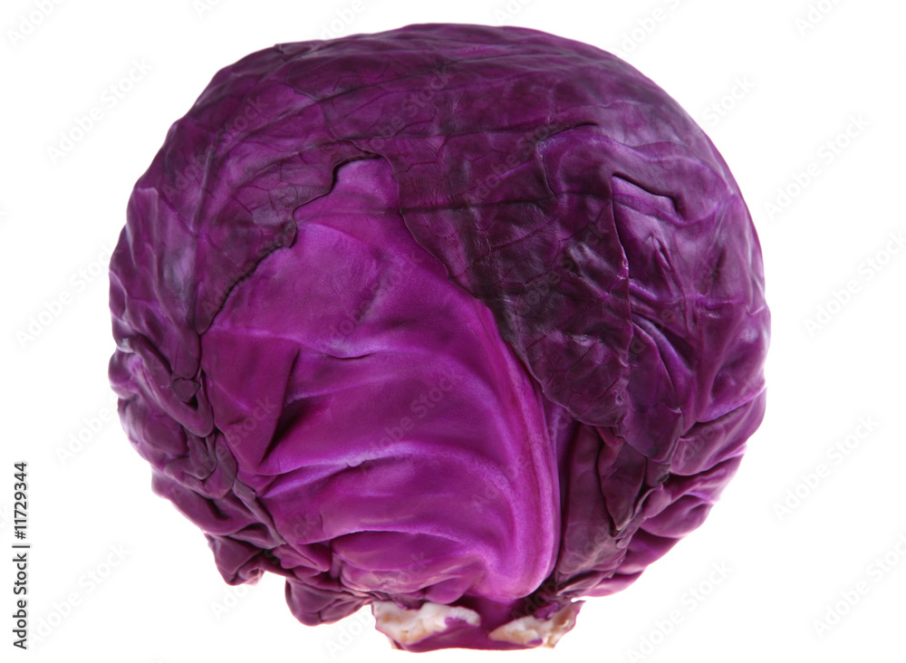 Violet cabbage