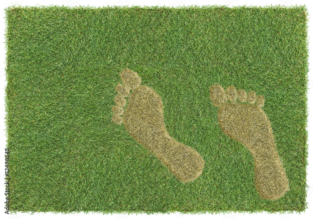 footprint on grass