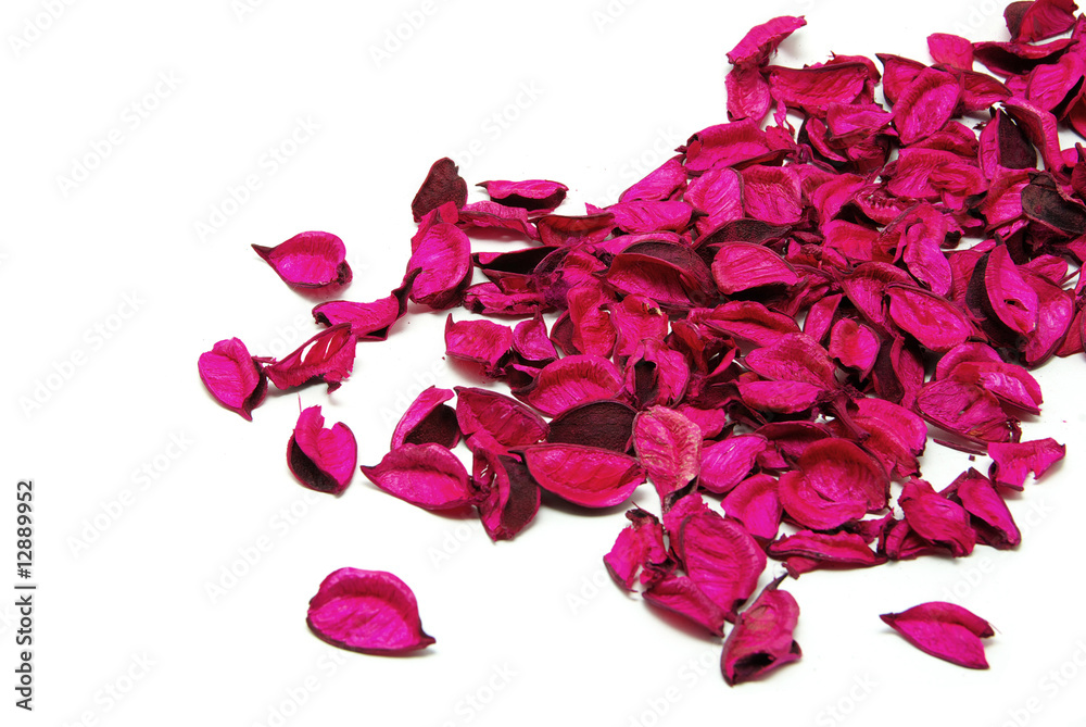 rose petals