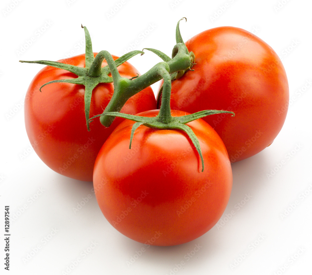 Tomatoes on stem