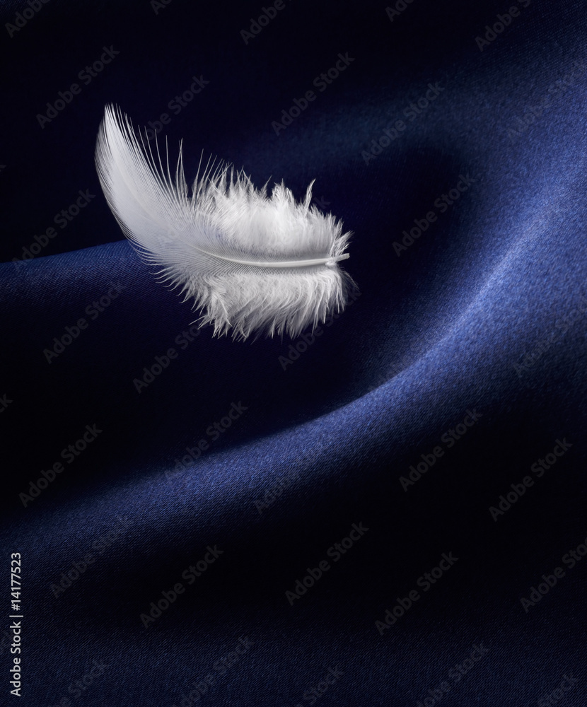 feather and satin