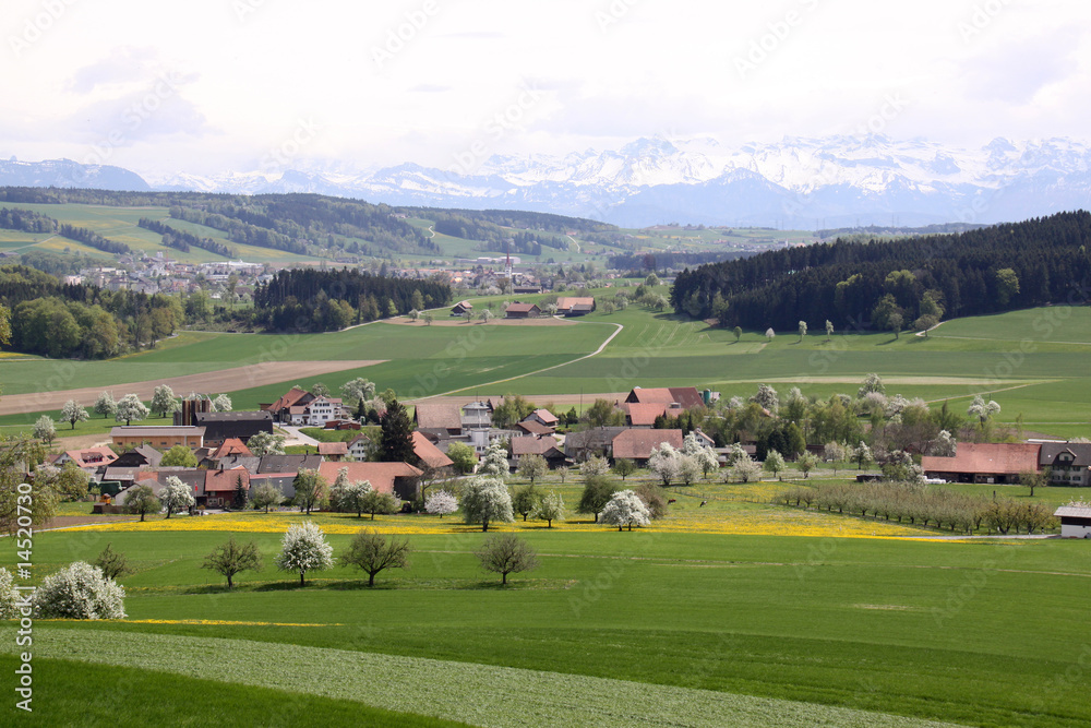 Frühling in der Schweiz