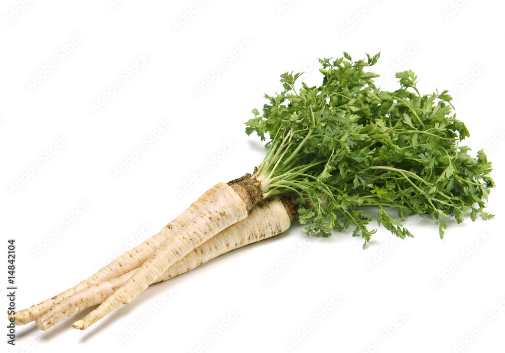 带根的Parsley