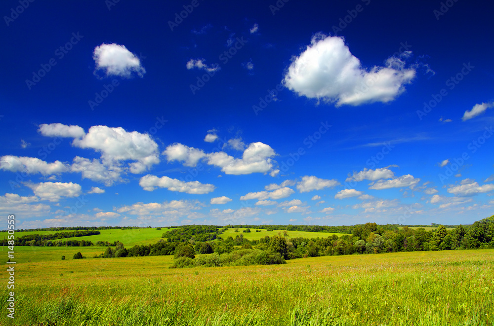 summer landscape