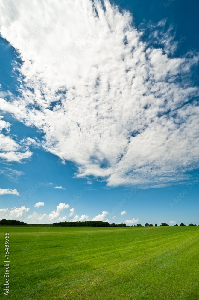 夏季背景