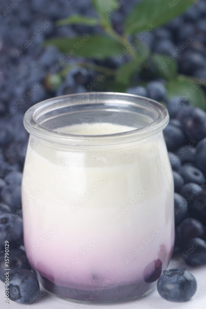 Blueberry Yogurt