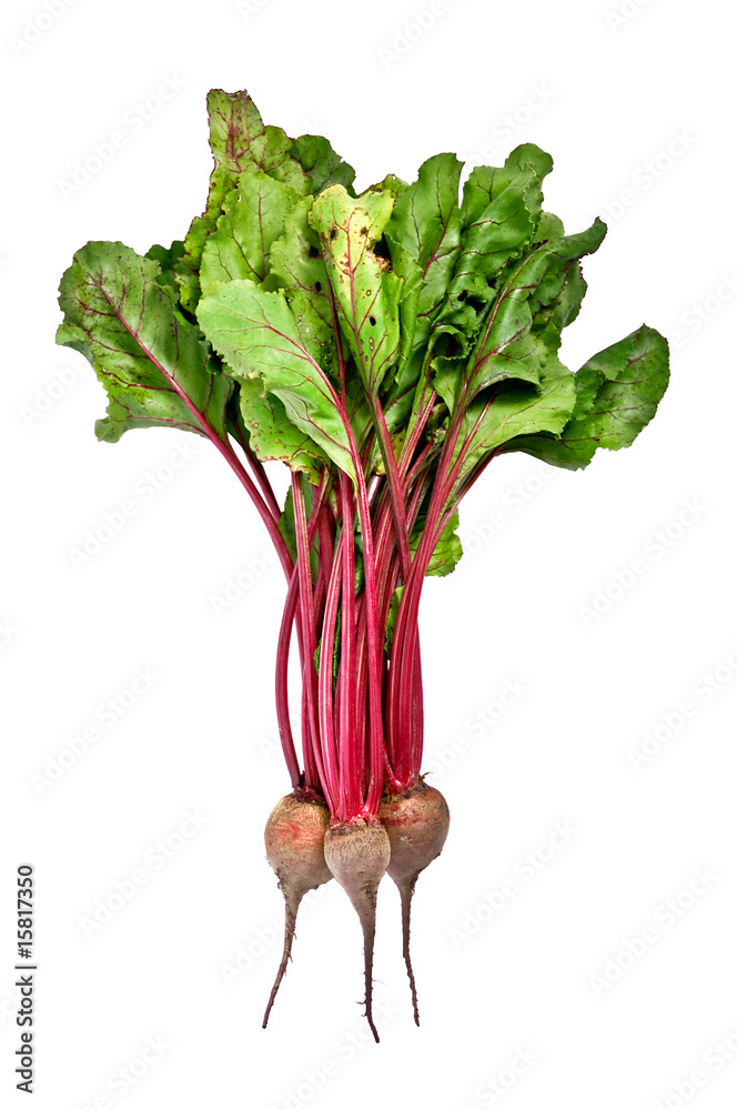 beet