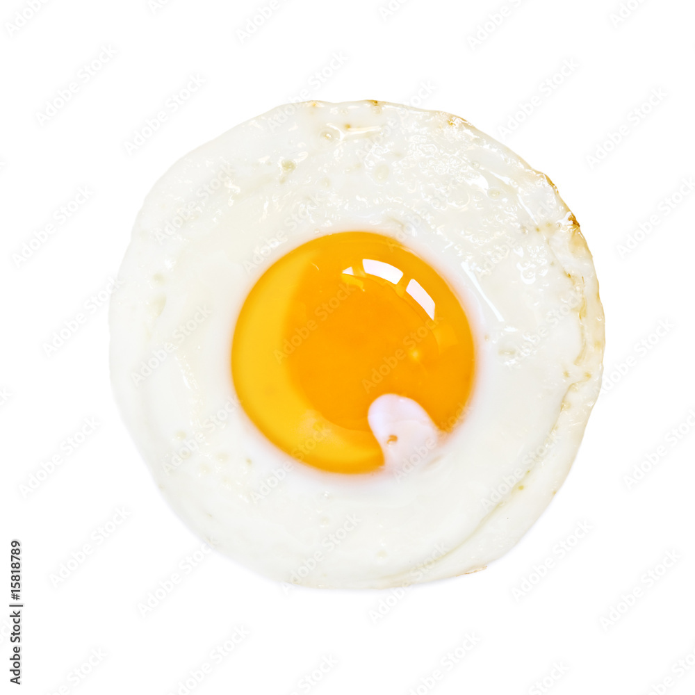 egg