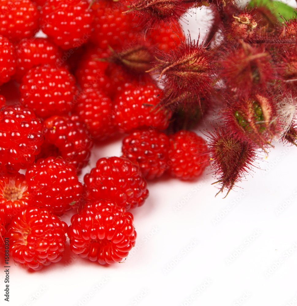 Raspberries on a white background