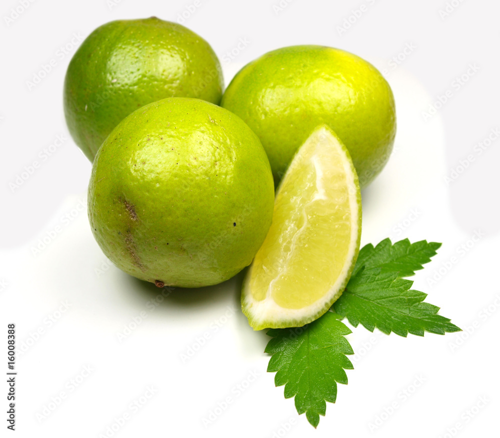 白底Limes