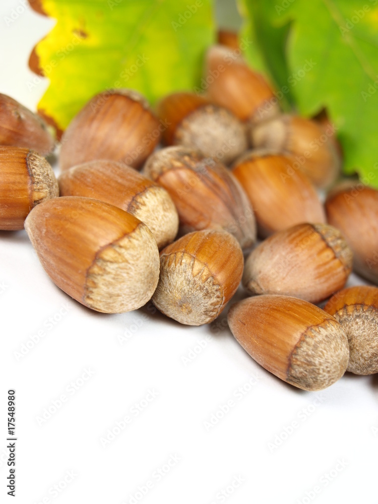 Hazelnuts with green leaves on background