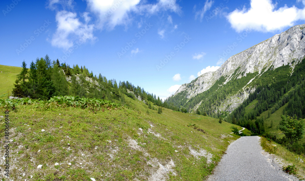 高山草甸与道路