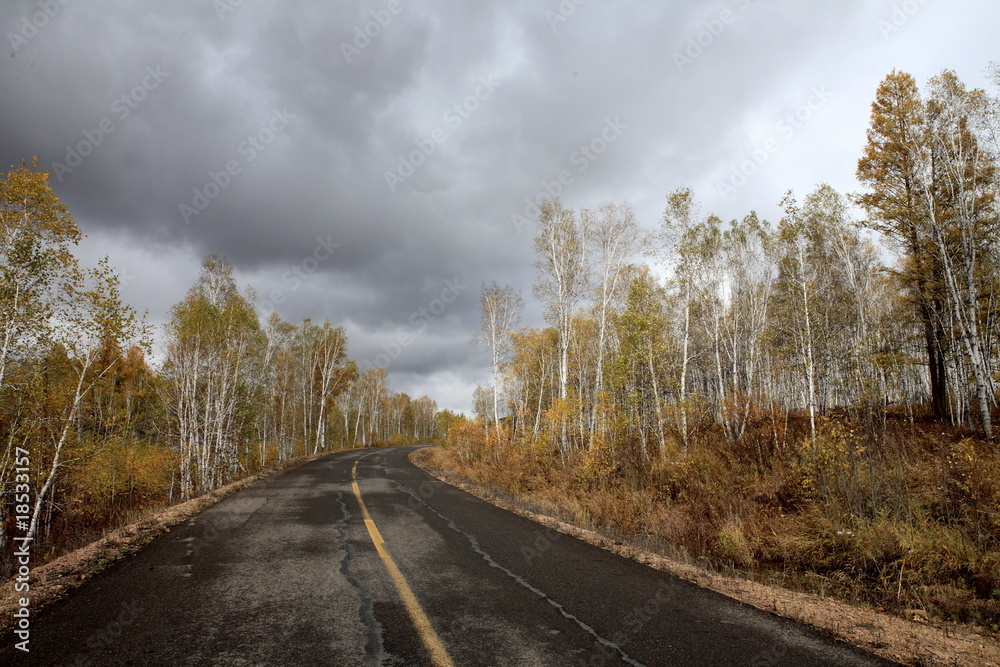 笔直的道路消失在远处