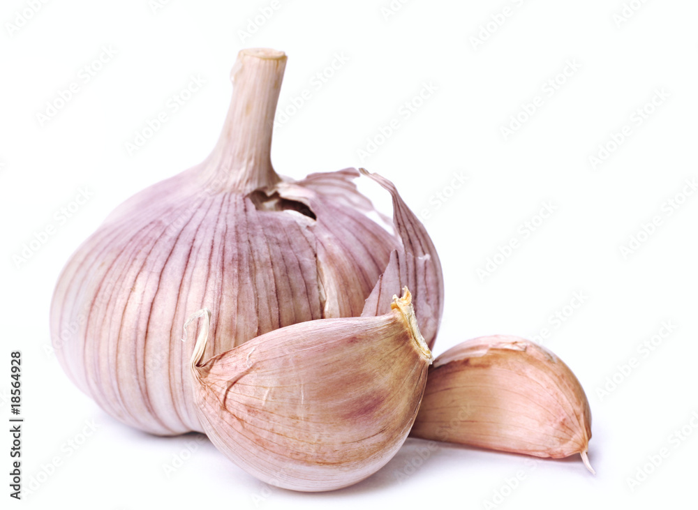 Garlic head