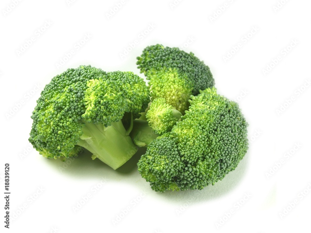 Broccoli on white background