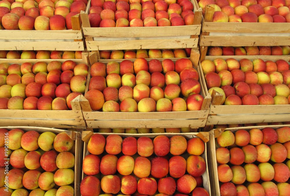 Apples in wooden crates on market