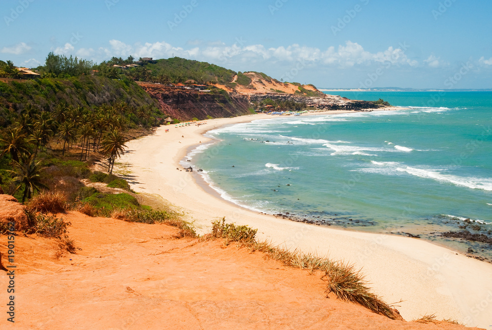 Beautiful beach with palm trees at Praia do Amor Brazil