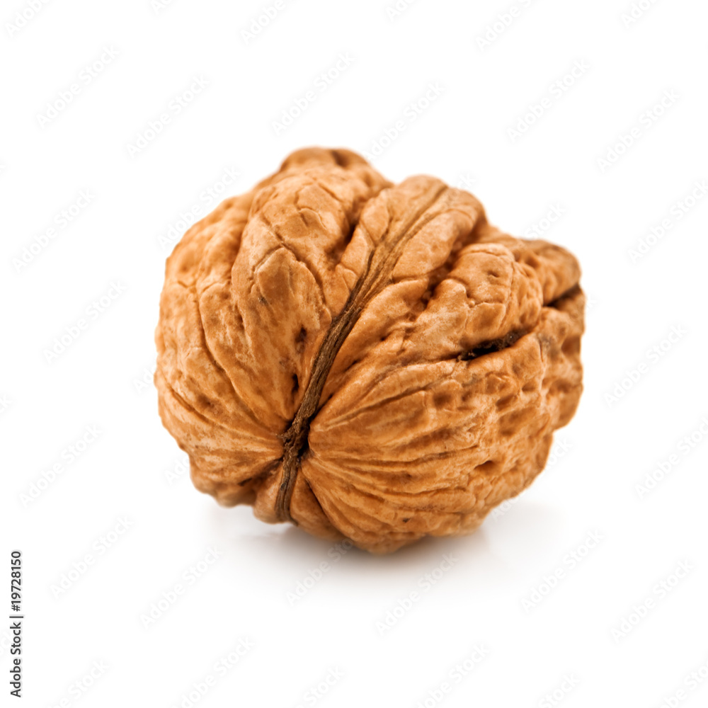 walnut