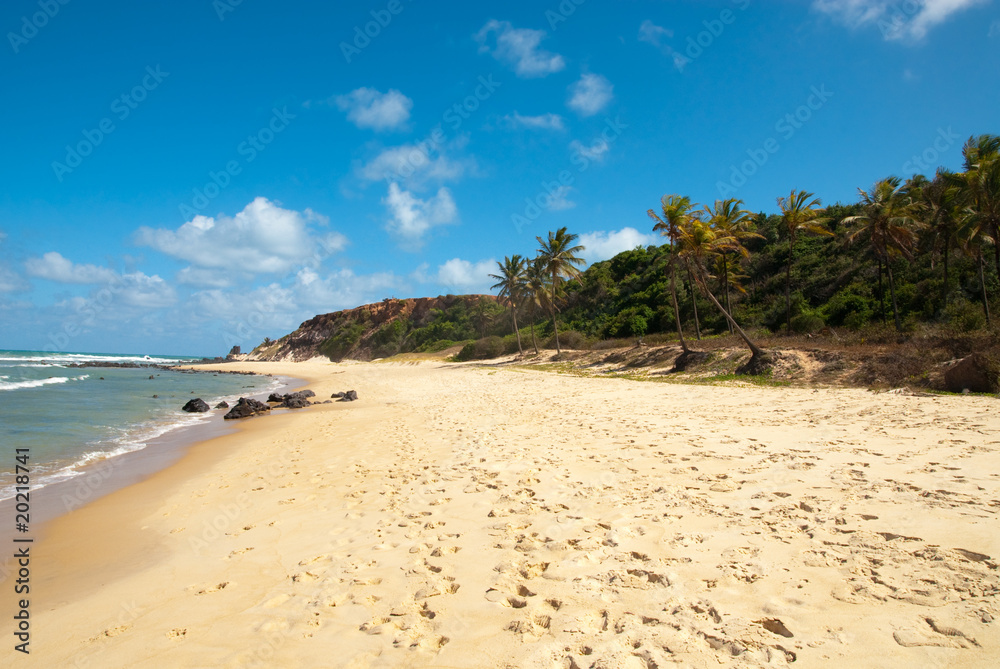 Beautiful beach with palm trees at Praia do Amor Brazil