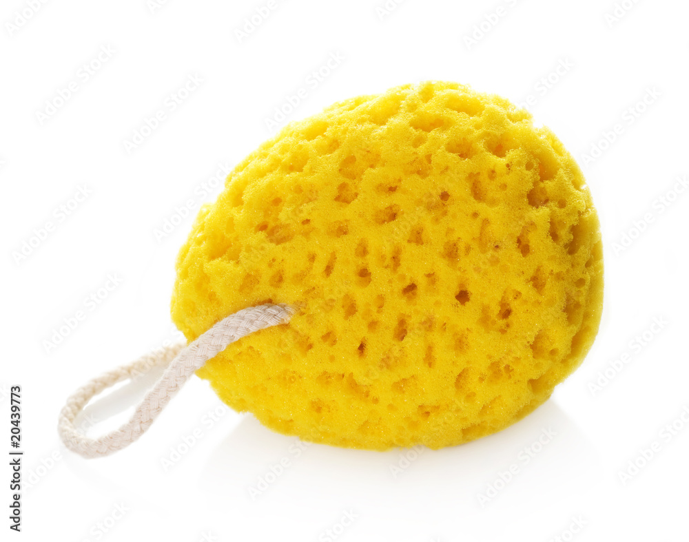 Bath Sponge isolated on white