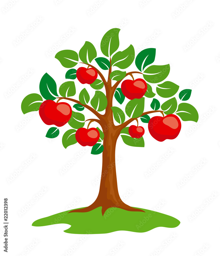 Apple-tree