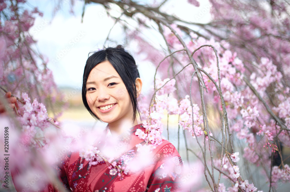 桜　着物　日本　