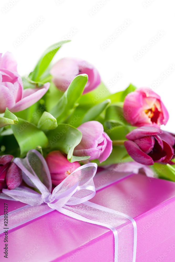 Pink tulips and gift box