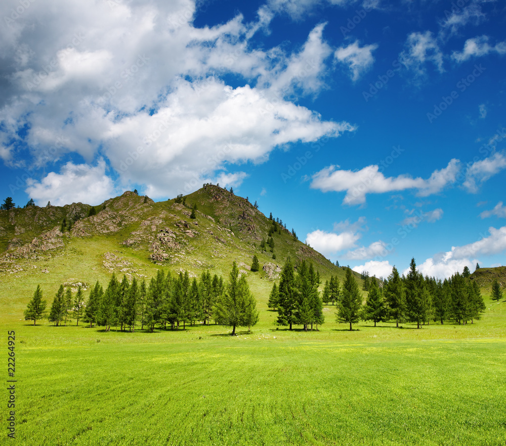 Mountain landscape