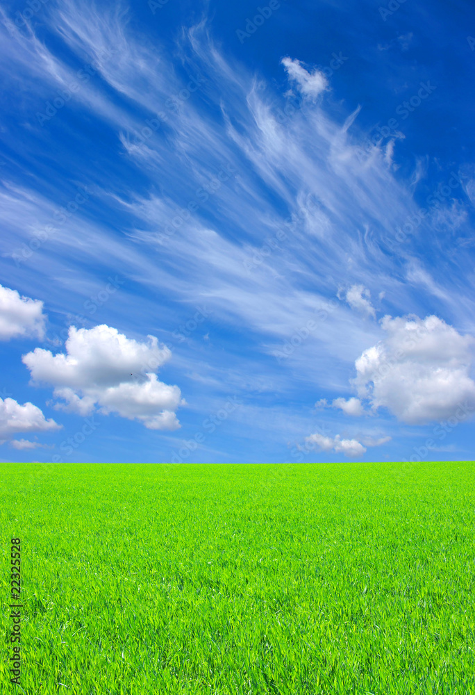 field and clouds