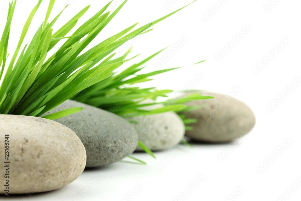 Zen stone with fresh grass