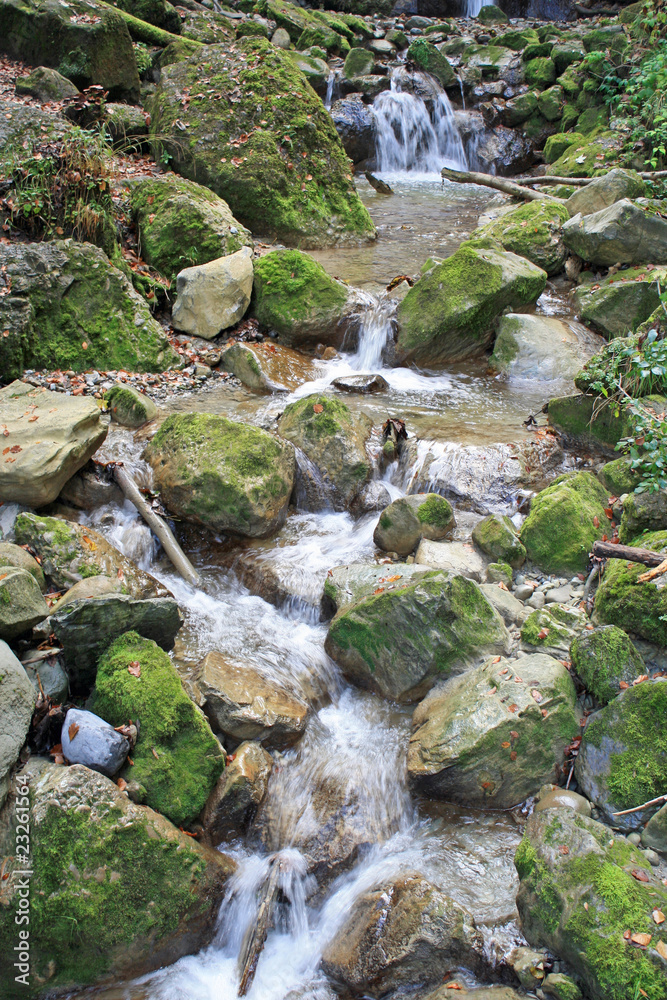 small stream