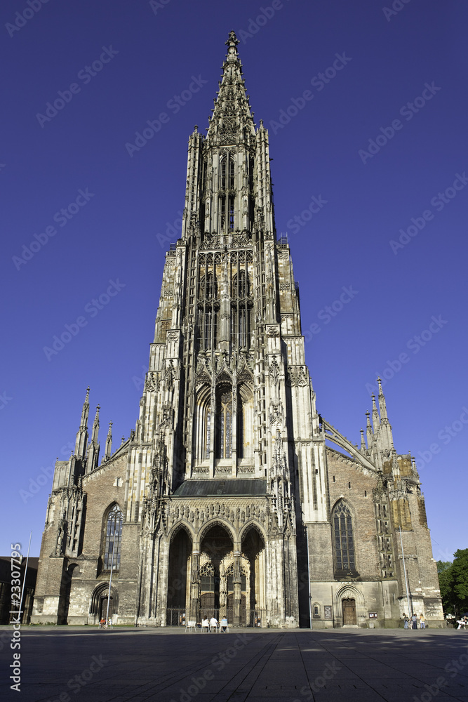 Das Ulmer Münster