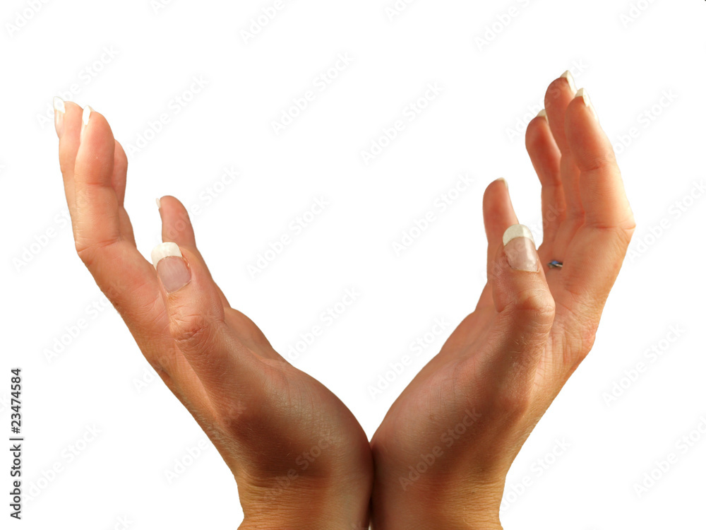 Woman´s hands isolated on white background