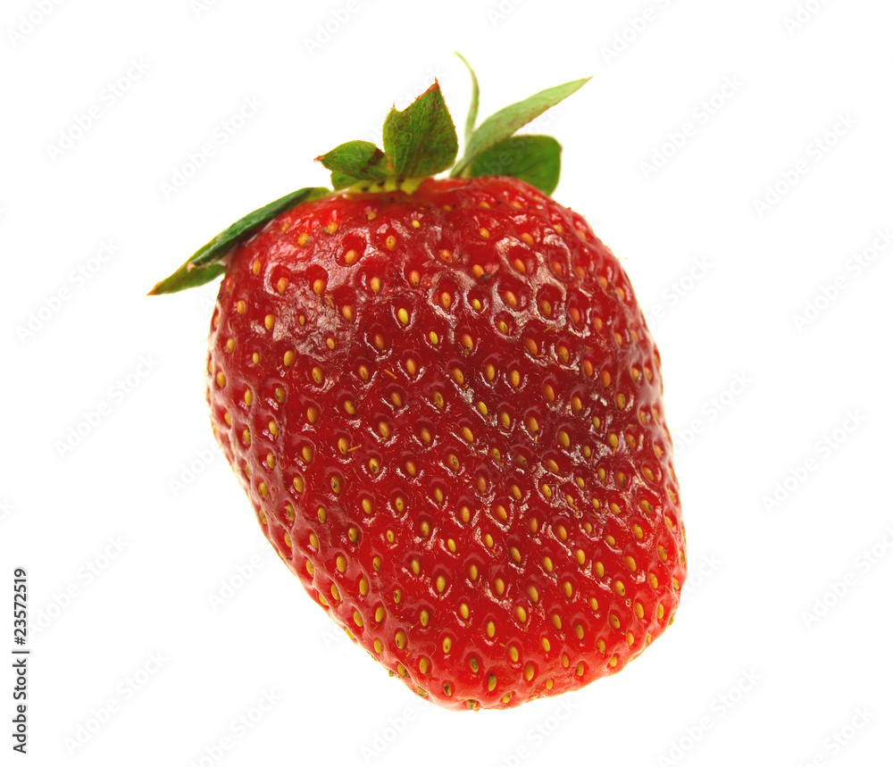 Strawberry on white background