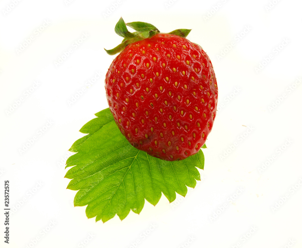 Strawberry on white background